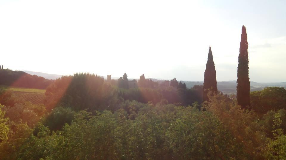 Casa Michelangelo Apartment Megognano Luaran gambar